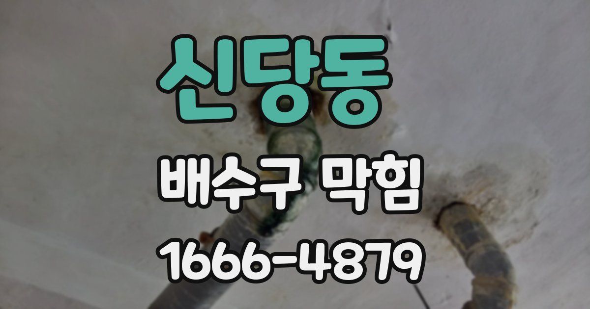 신당동 배수구 막힘