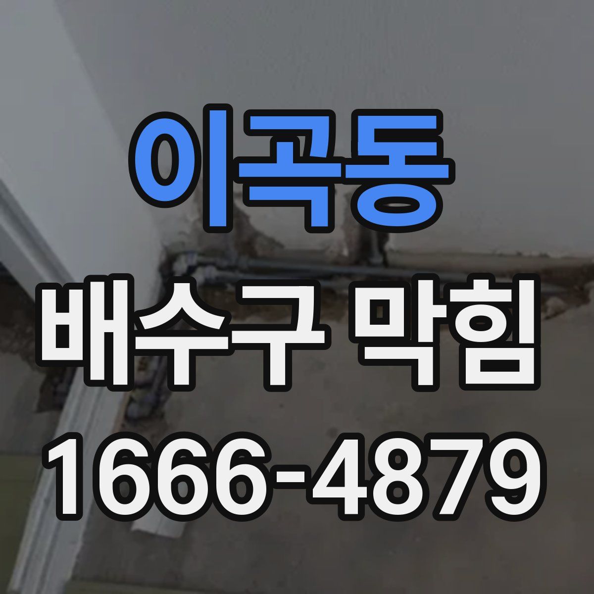 이곡동 배수구 막힘