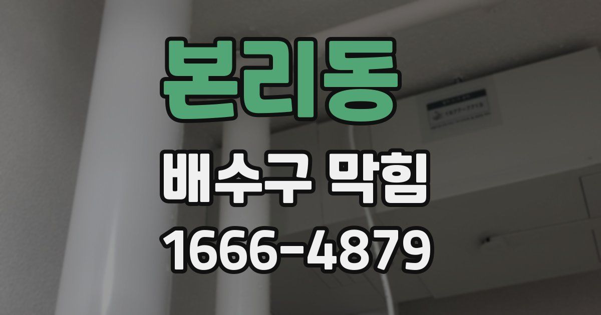 본리동 배수구 막힘
