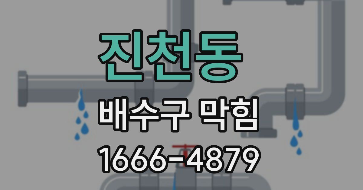 진천동 배수구 막힘