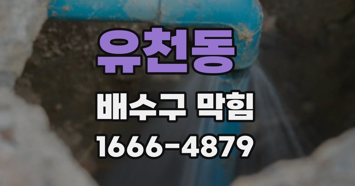 유천동 배수구 막힘