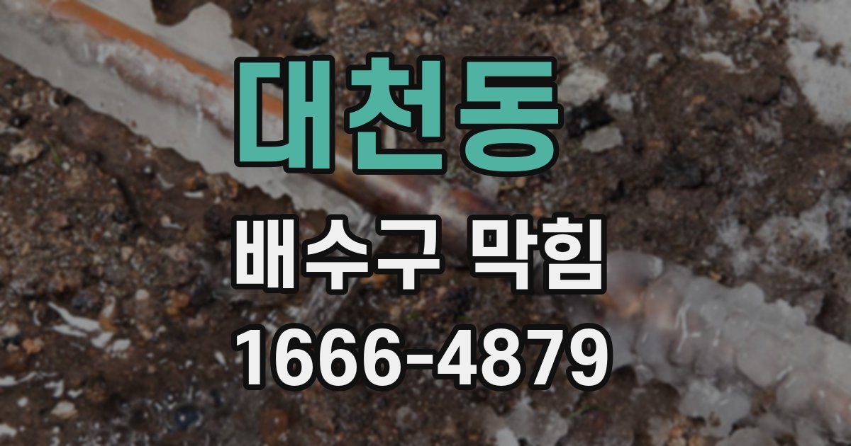 대천동 배수구 막힘
