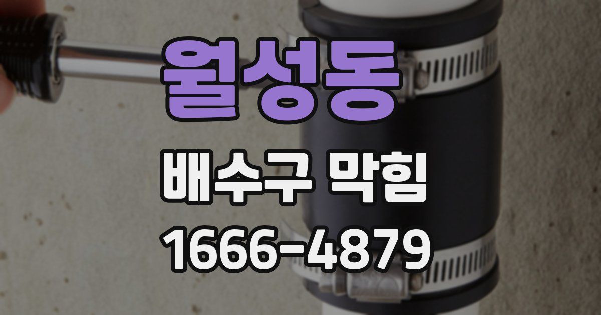 월성동 배수구 막힘