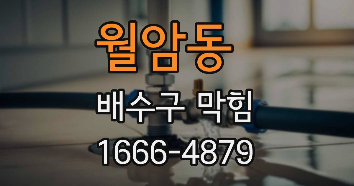 월암동 배수구 막힘