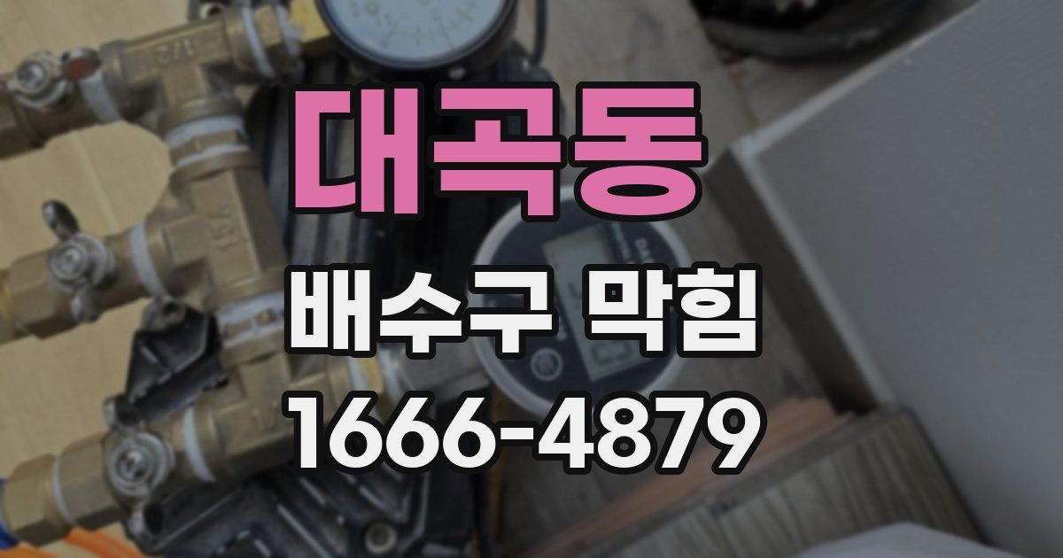 대곡동 배수구 막힘