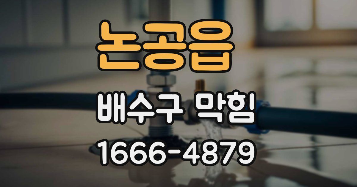 논공읍 배수구 막힘