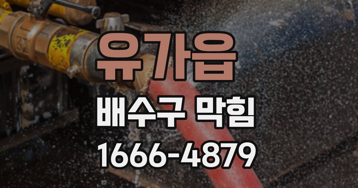 유가읍 배수구 막힘