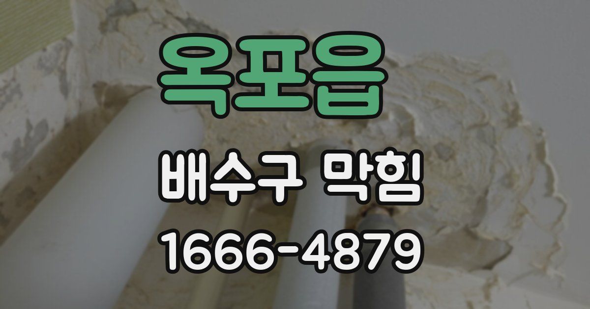옥포읍 배수구 막힘