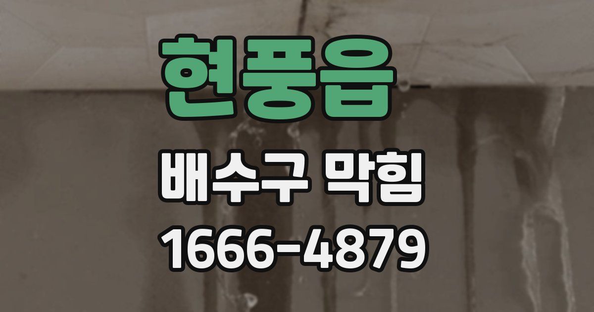 현풍읍 배수구 막힘