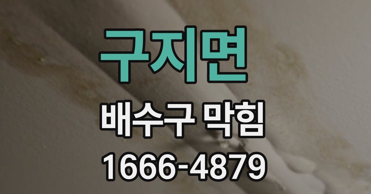 구지면 배수구 막힘