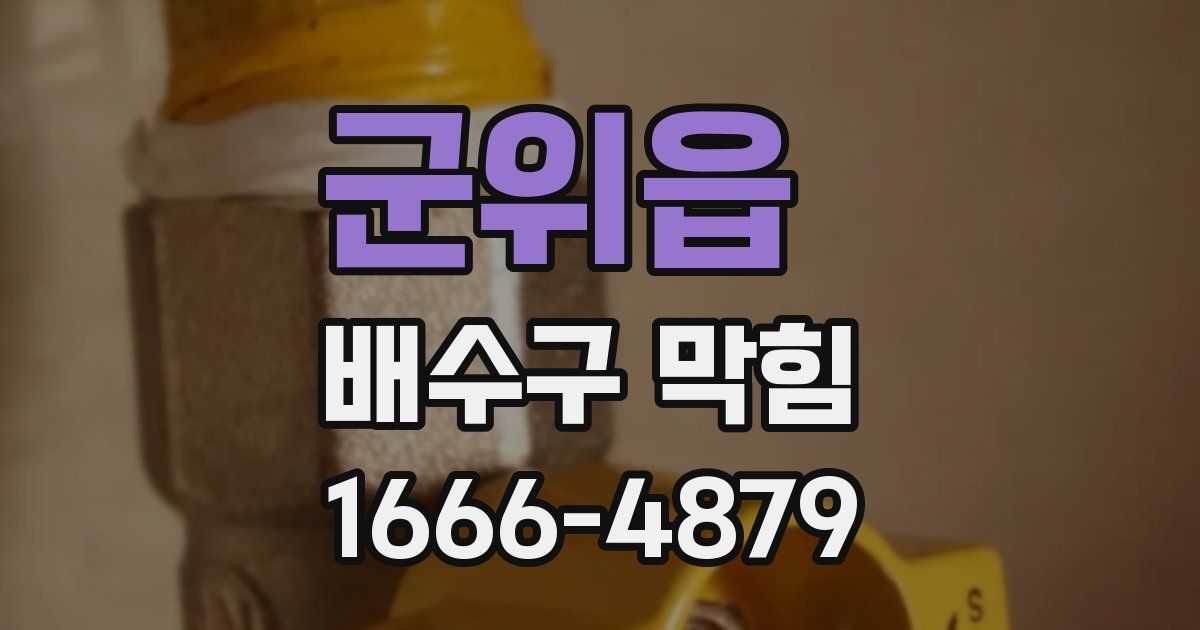 군위읍 배수구 막힘