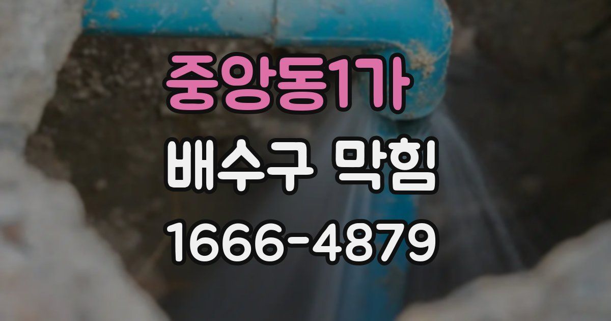 중앙동1가 배수구 막힘