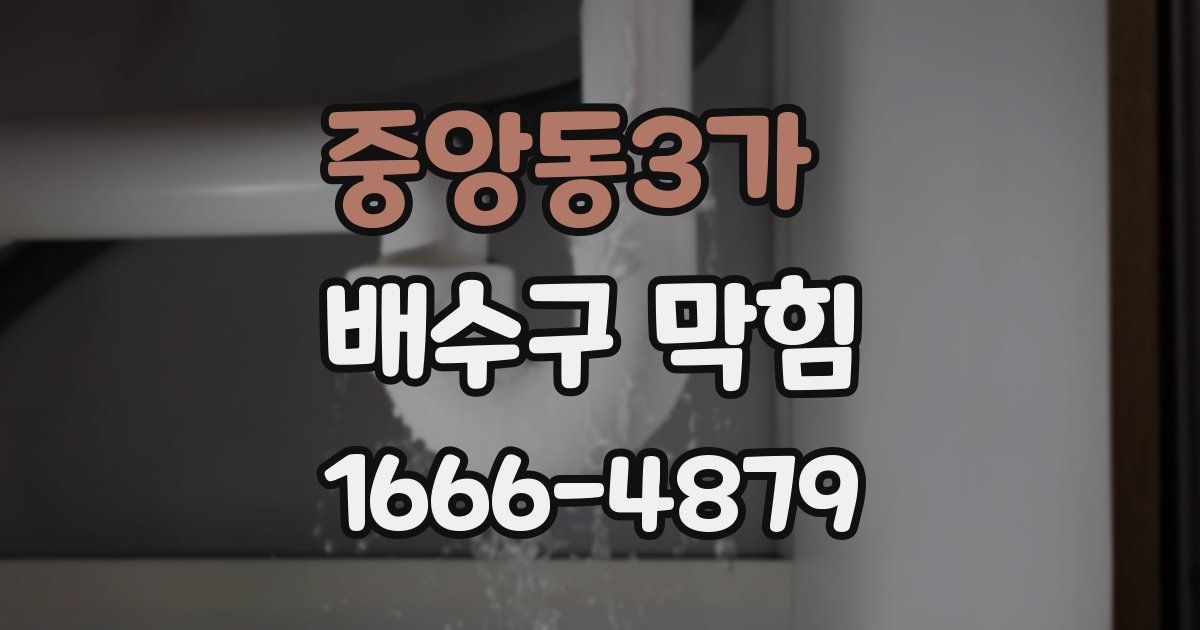 중앙동3가 배수구 막힘