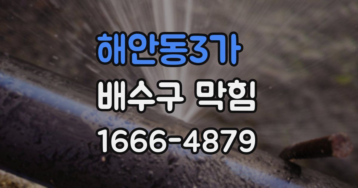해안동3가 배수구 막힘
