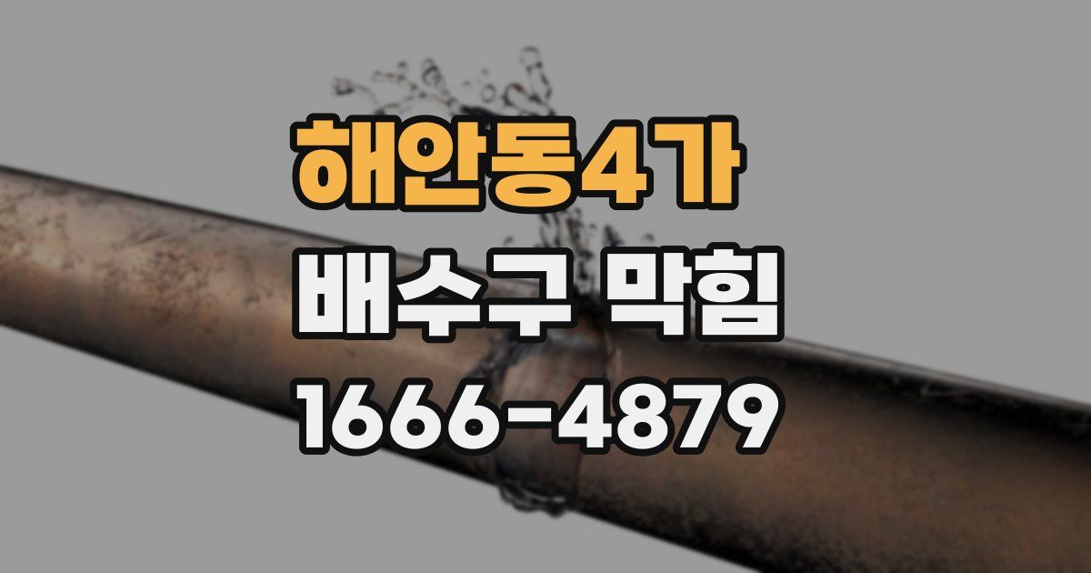 해안동4가 배수구 막힘