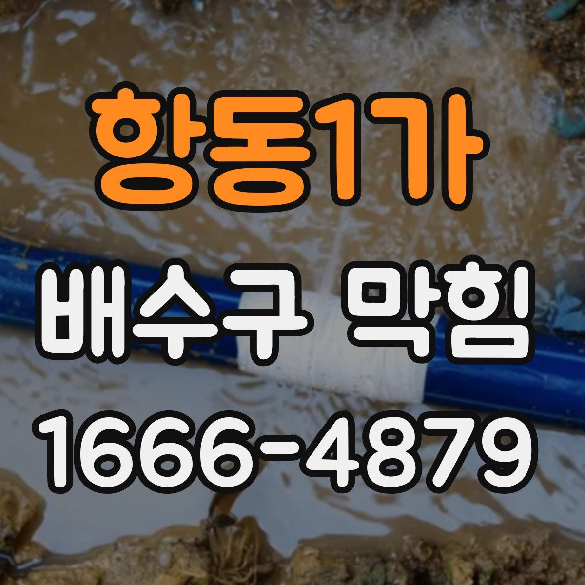 항동1가 배수구 막힘