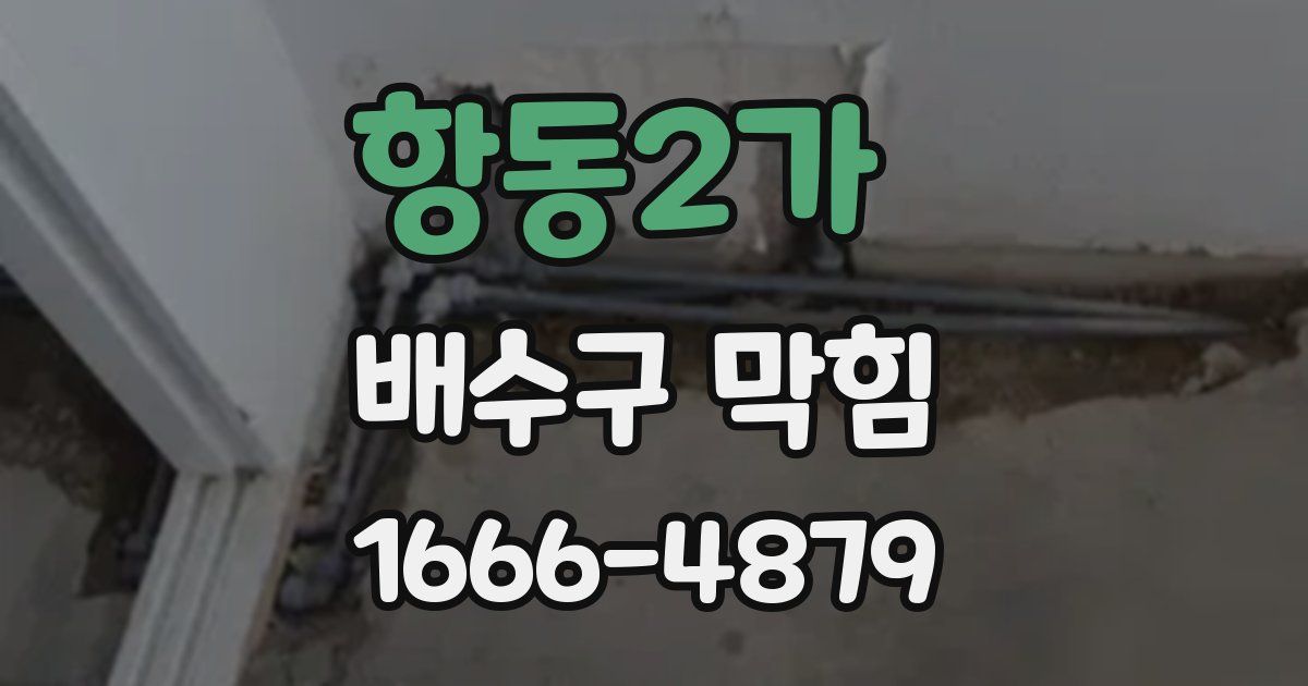 항동2가 배수구 막힘