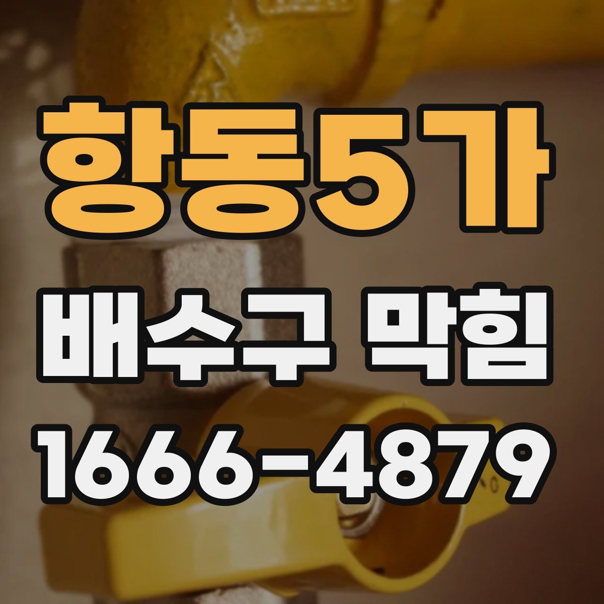 항동5가 배수구 막힘