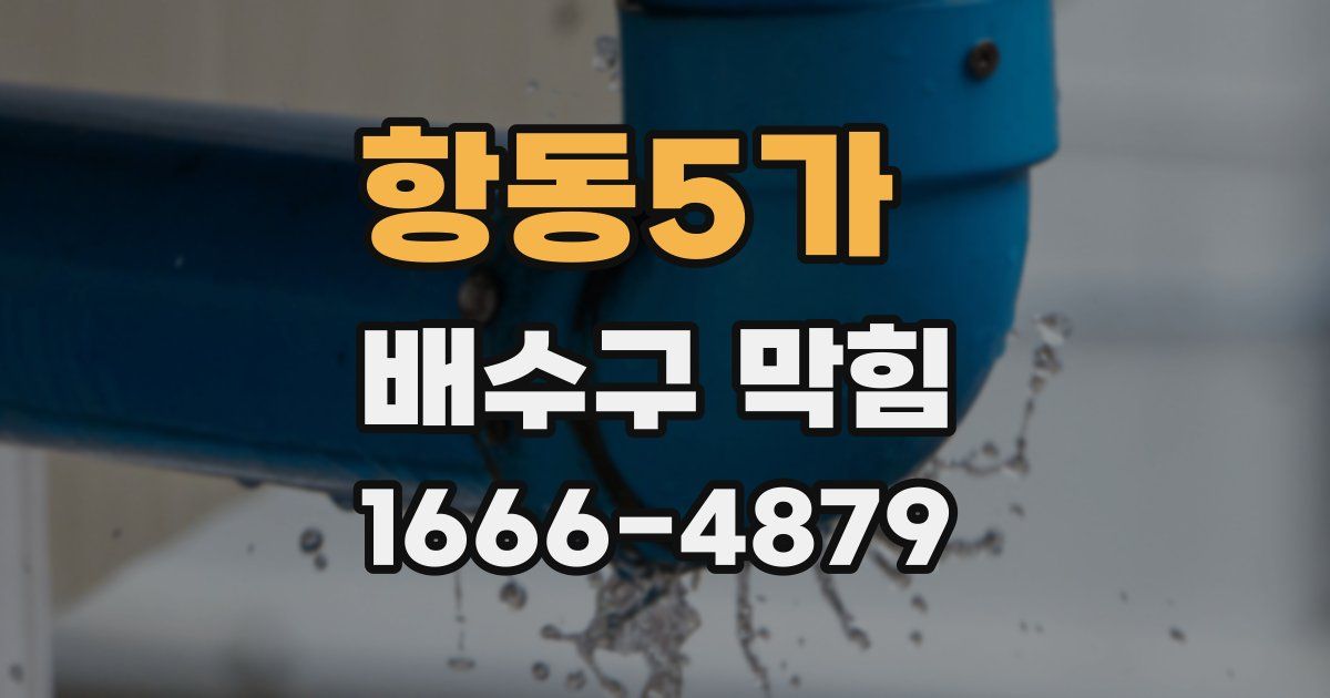 항동5가 배수구 막힘