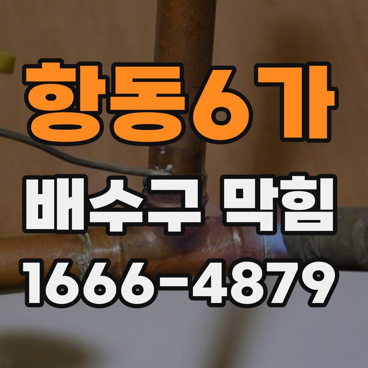 항동6가 배수구 막힘