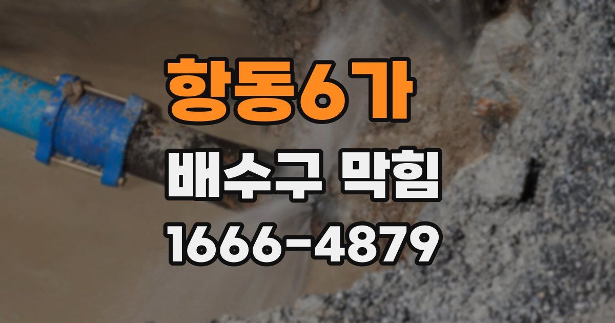 항동6가 배수구 막힘