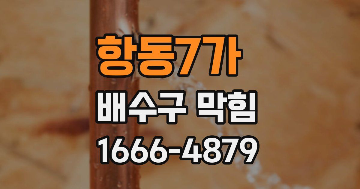 항동7가 배수구 막힘