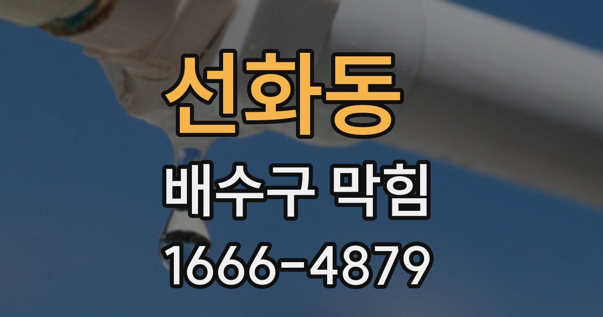 선화동 배수구 막힘