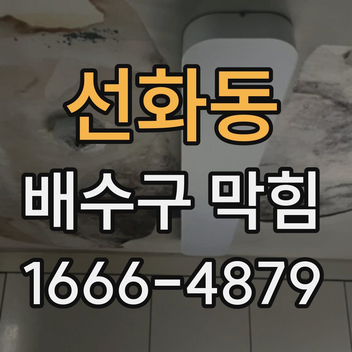 선화동 배수구 막힘