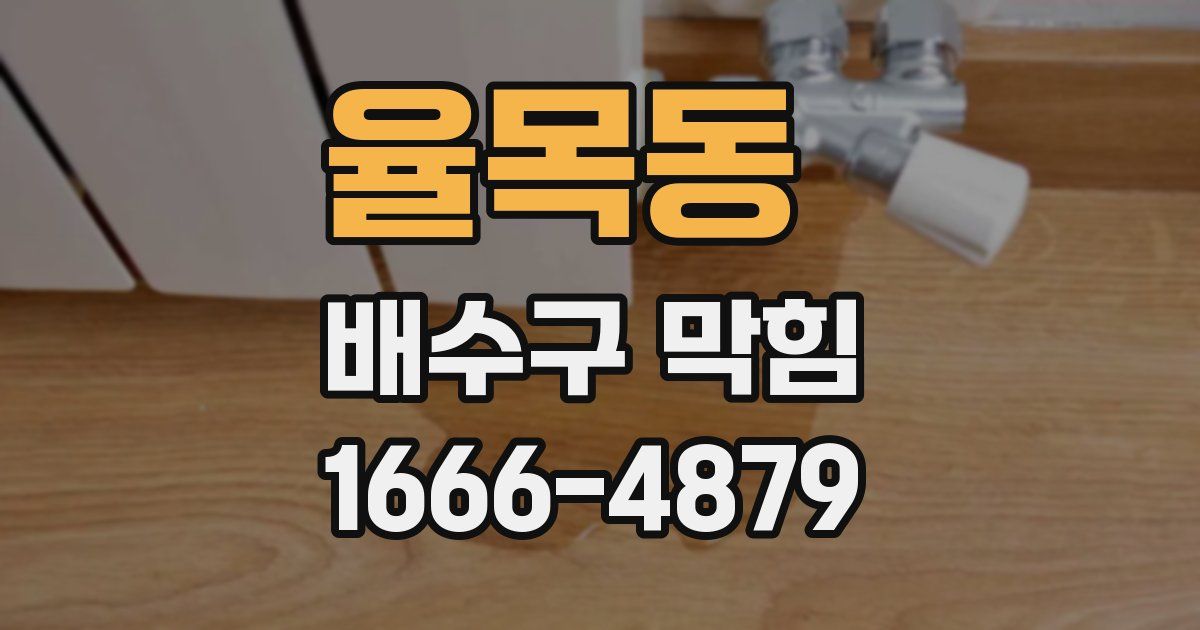 율목동 배수구 막힘