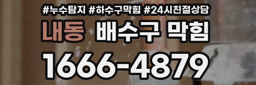 내동 배수구 막힘