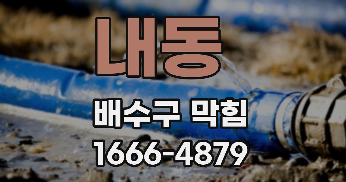 내동 배수구 막힘