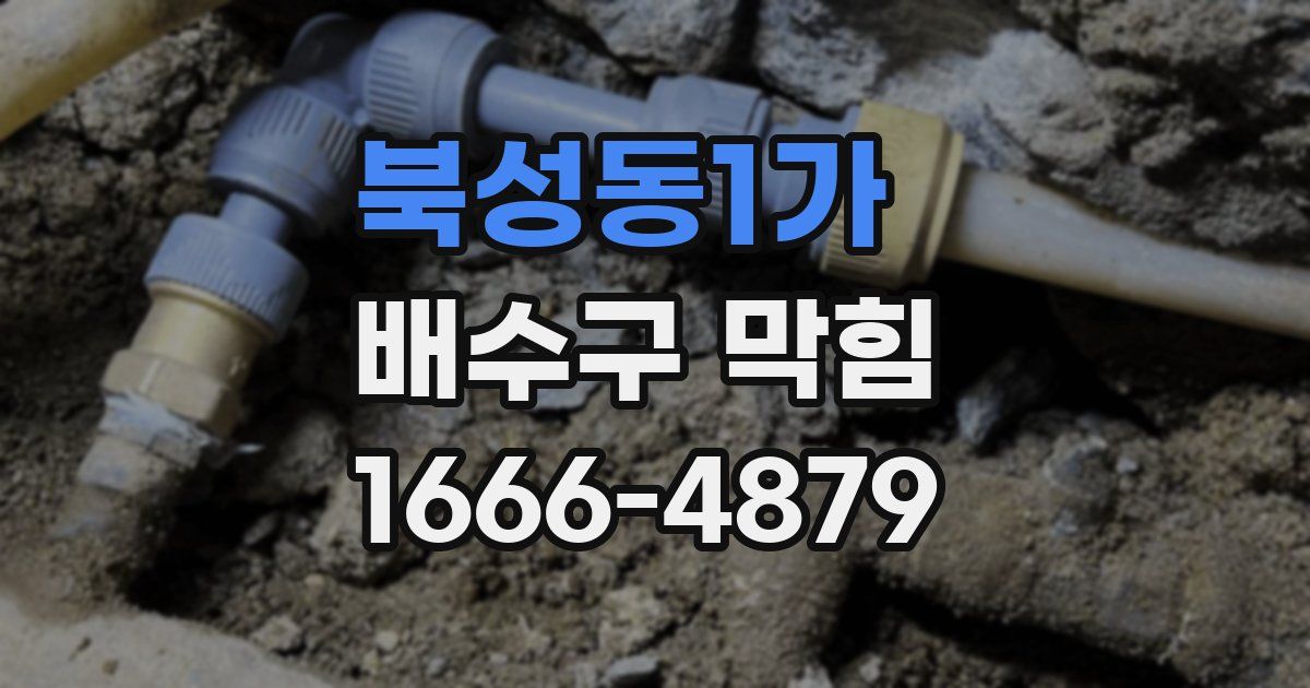 북성동1가 배수구 막힘
