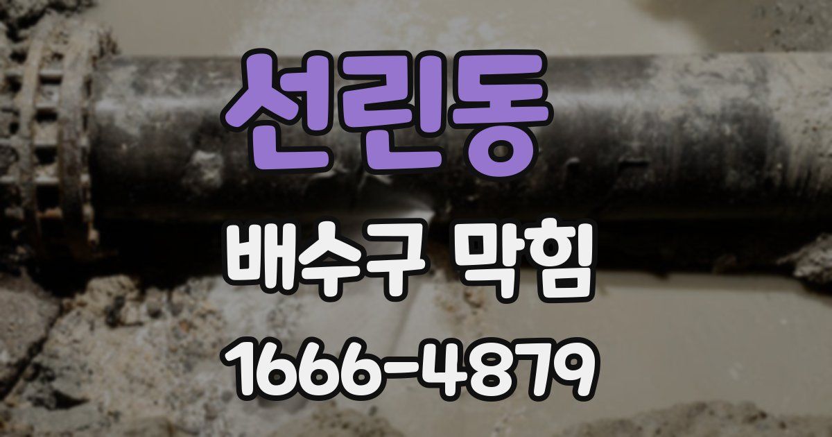 선린동 배수구 막힘