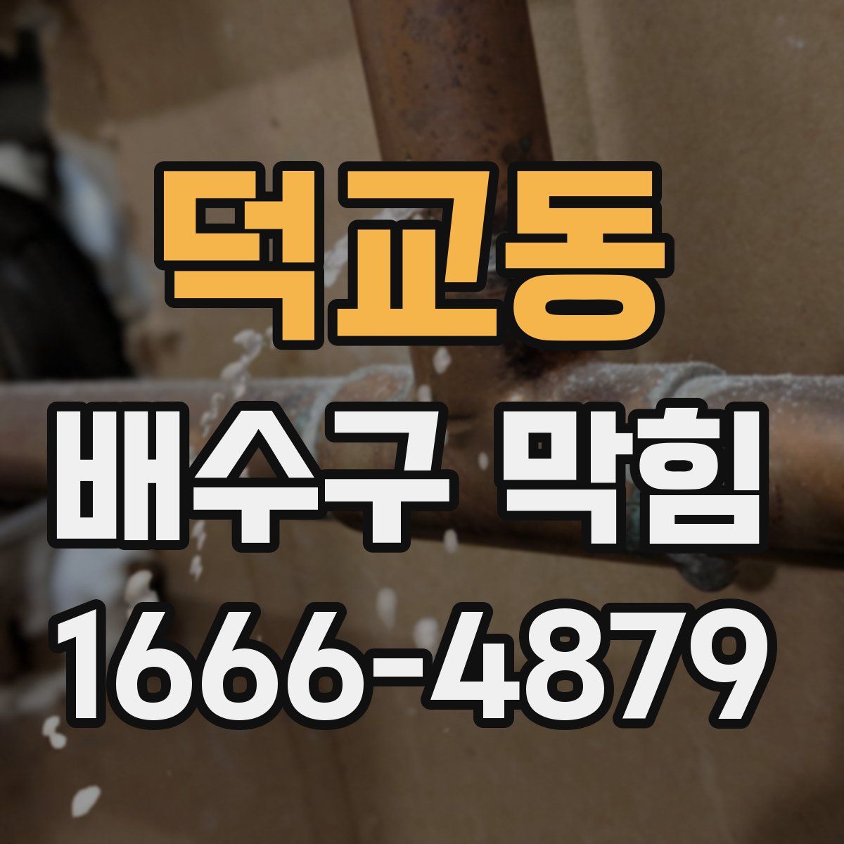 덕교동 배수구 막힘