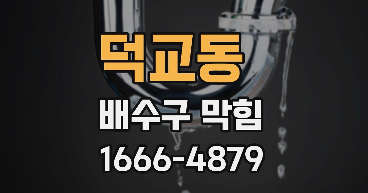 덕교동 배수구 막힘
