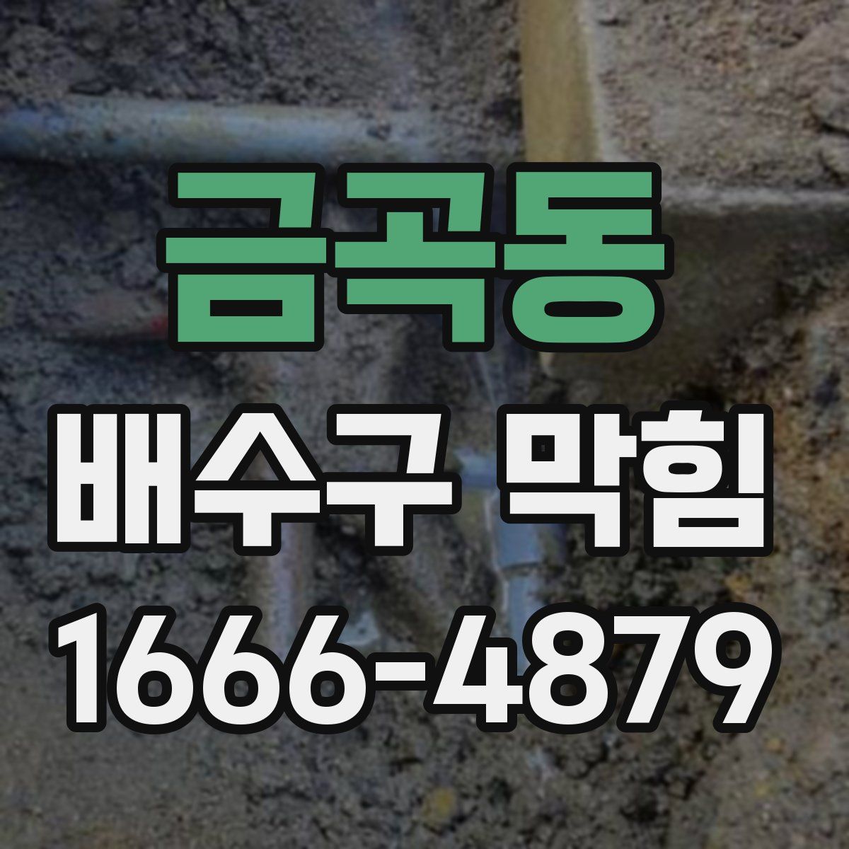 금곡동 배수구 막힘