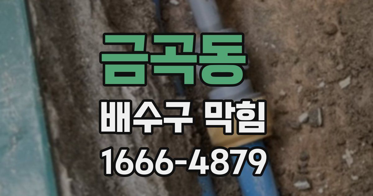 금곡동 배수구 막힘