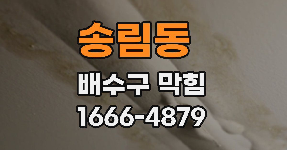 송림동 배수구 막힘