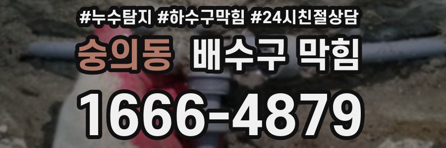 숭의동 배수구 막힘