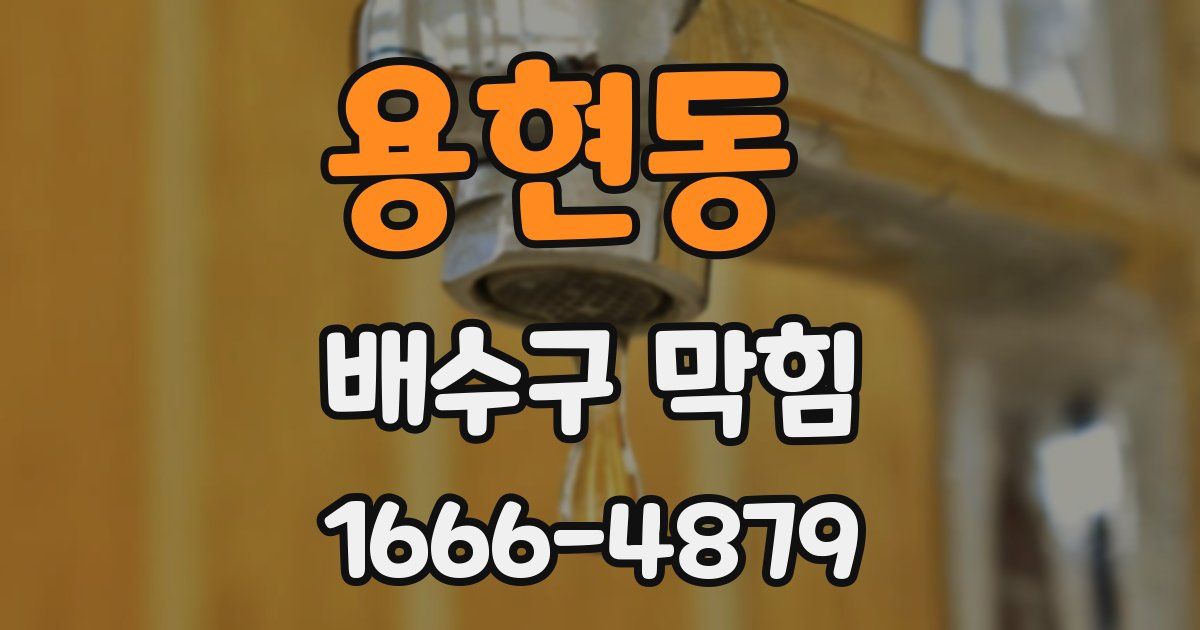 용현동 배수구 막힘