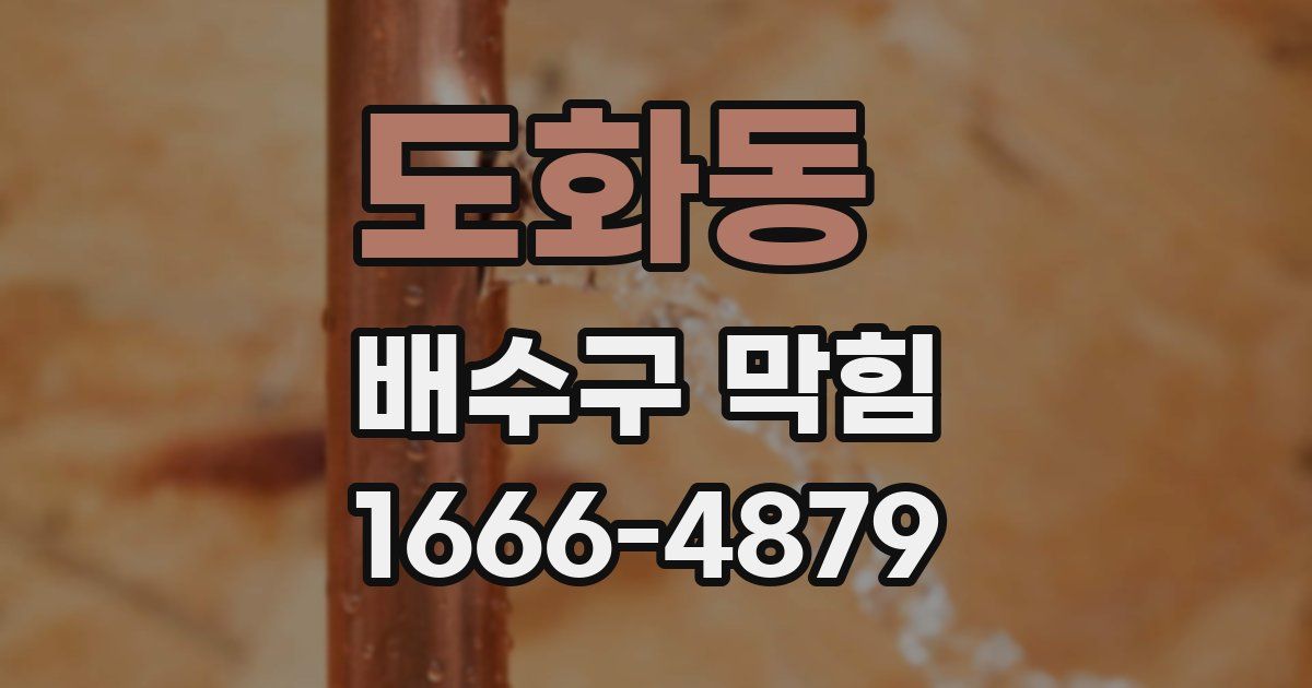 도화동 배수구 막힘