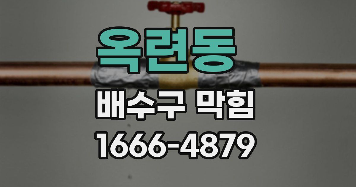 옥련동 배수구 막힘