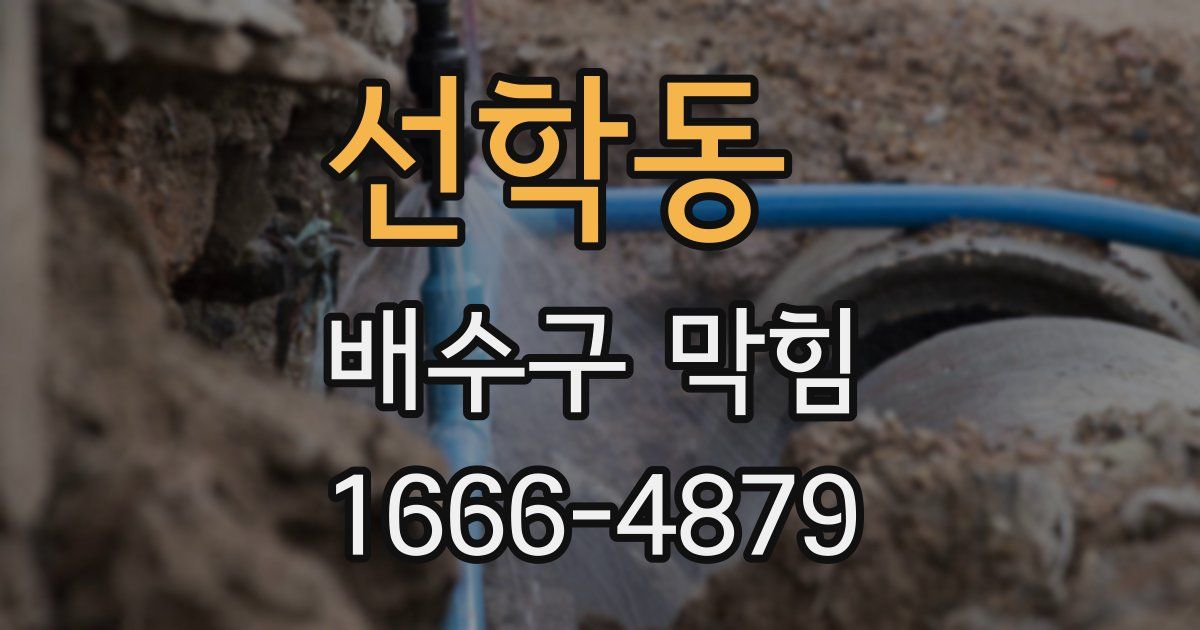 선학동 배수구 막힘