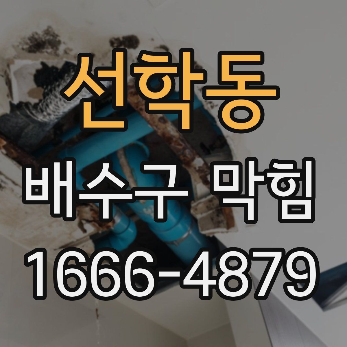 선학동 배수구 막힘