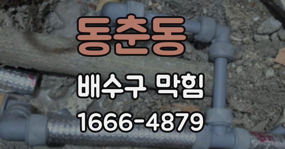 동춘동 배수구 막힘