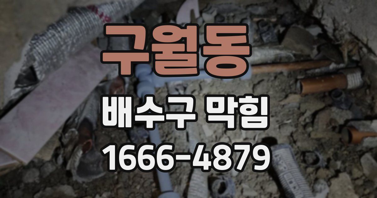 구월동 배수구 막힘