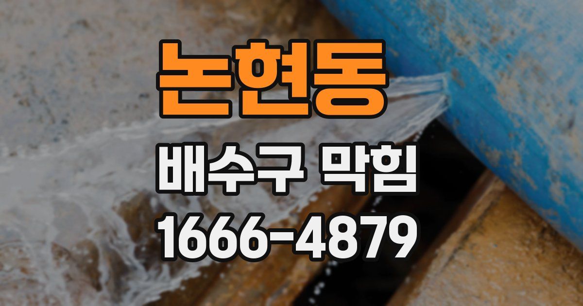 논현동 배수구 막힘