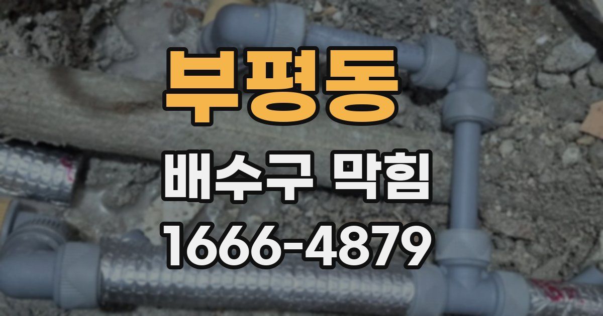 부평동 배수구 막힘