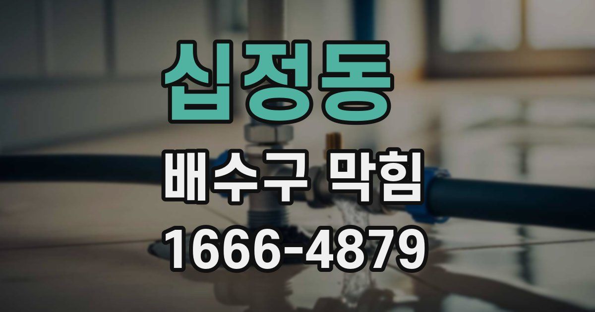 십정동 배수구 막힘