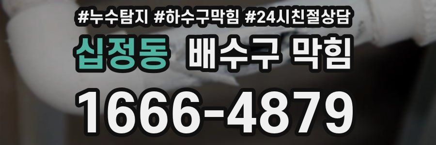 십정동 배수구 막힘